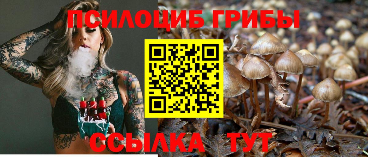 купить   Галлюциногенные грибы Magic Shrooms  Вход с VPN  Бор 
